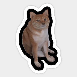 Cheems Cat Sticker